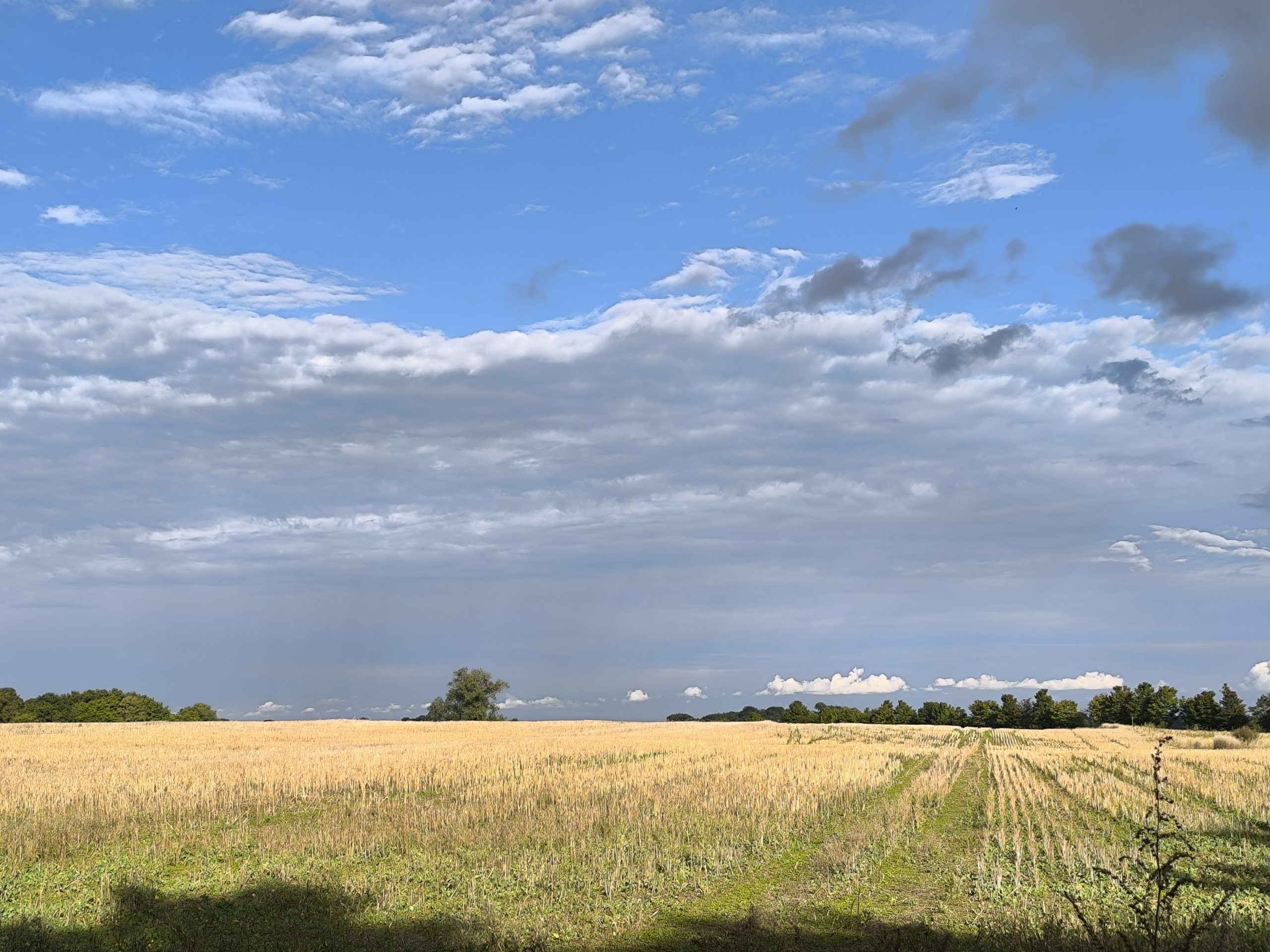 Gesundheitswoche auf Usedom